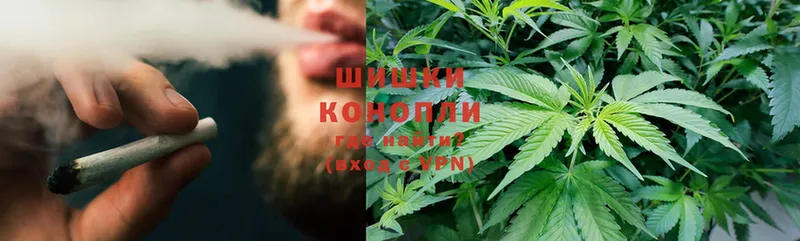 Конопля OG Kush  Лермонтов 